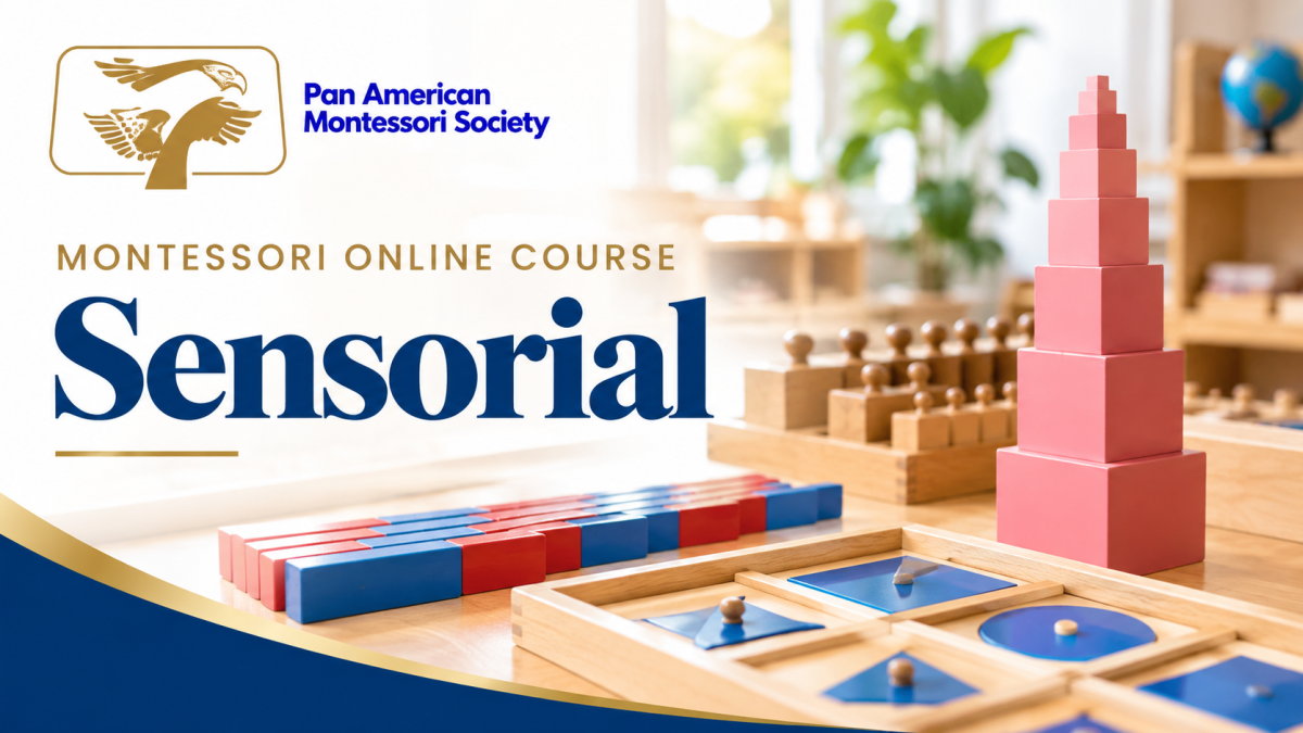 Montessori Online Course – Sensorial
